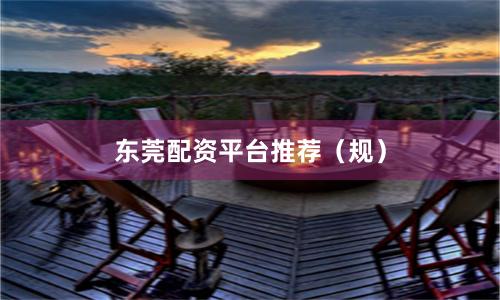 东莞配资平台推荐（规）